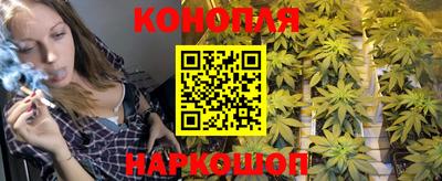 стафф Бузулук