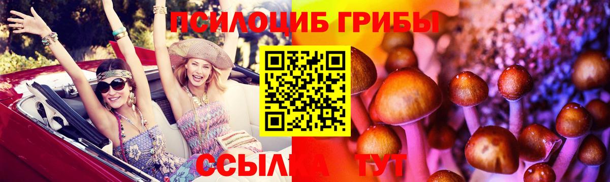 Псилоцибиновые грибы Psilocybe  Галлюциногенные грибы Psilocybe  Красногорск  Вход с VPN 